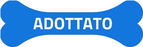 cercocuccia-adottato