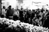 Claudia Rolando - La Sagra dell’Uva di Marino riesce ad unire i più giovani e i più anziani in una grande festa che non conosce età